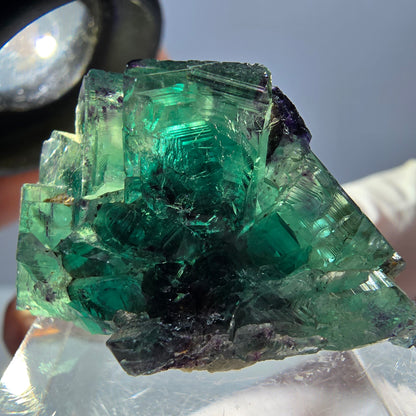 Rare spécimen de cube de fluorite fantôme, vert-violet, Okorusu, Namibie, 33 x 20 x 14 mm 