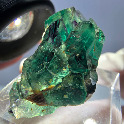 Rare spécimen de cube de fluorite fantôme, vert-violet, Okorusu, Namibie, 33 x 20 x 14 mm 