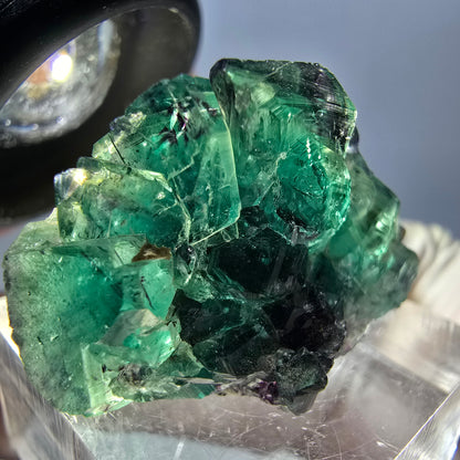 Rare spécimen de cube de fluorite fantôme, vert-violet, Okorusu, Namibie, 33 x 20 x 14 mm 