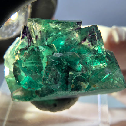 Rare spécimen de cube de fluorite fantôme, vert-violet, Okorusu, Namibie, 33 x 20 x 14 mm 