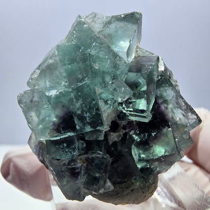 Rare spécimen de cube de fluorite fantôme, vert-violet, Okorusu, Namibie, 35 x 32 x 16 mm 