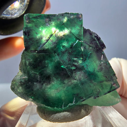 Spécimen rare de cube de fluorite fantôme, vert-violet, Okorusu, Namibie, 33 x 32 x 16 mm 