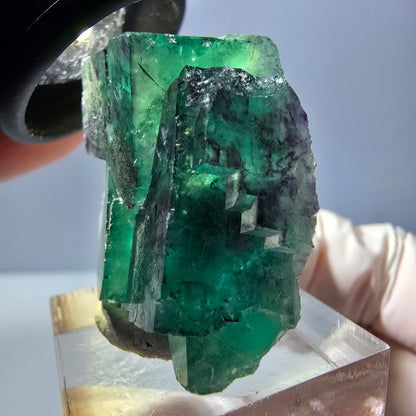 Spécimen rare de cube de fluorite fantôme, vert-violet, Okorusu, Namibie, 33 x 32 x 16 mm 