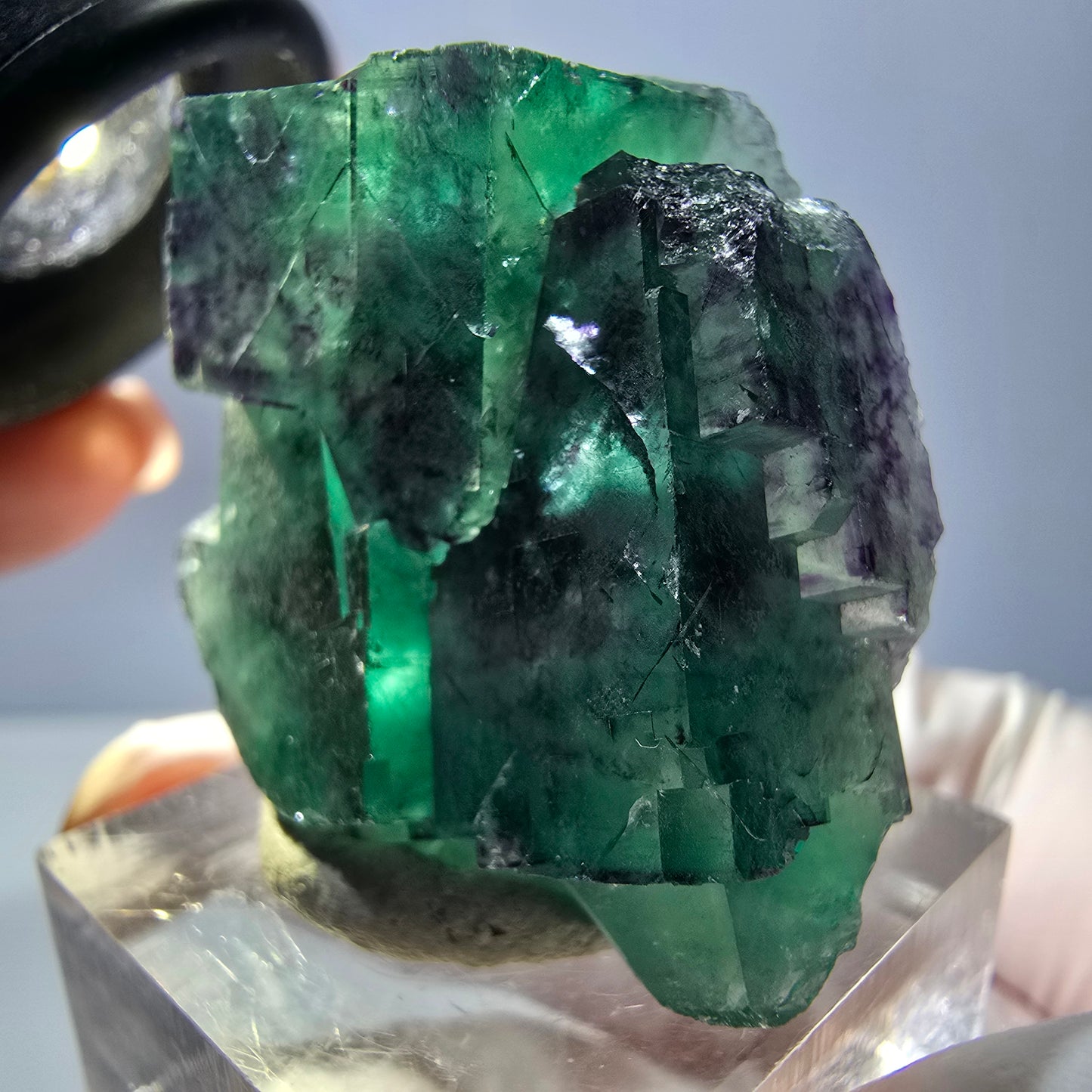 Spécimen rare de cube de fluorite fantôme, vert-violet, Okorusu, Namibie, 33 x 32 x 16 mm 