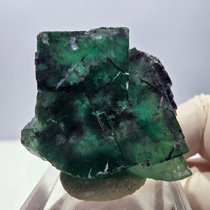 Spécimen rare de cube de fluorite fantôme, vert-violet, Okorusu, Namibie, 33 x 32 x 16 mm 
