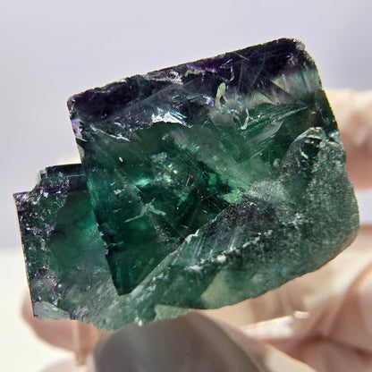 Spécimen rare de cube de fluorite fantôme, vert-violet, Okorusu, Namibie, 33 x 32 x 16 mm 
