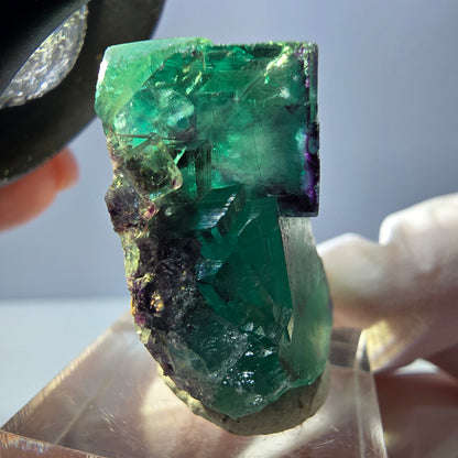 Spécimen rare de cube de fluorite fantôme, vert-violet, Okorusu, Namibie, 33 x 32 x 16 mm 