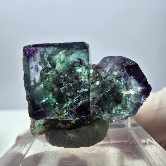 Spécimen rare de cube de fluorite fantôme, vert-violet, Okorusu, Namibie, 28 x 20 x 18 mm 
