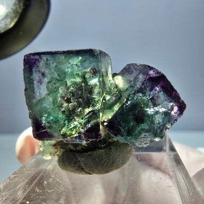 Spécimen rare de cube de fluorite fantôme, vert-violet, Okorusu, Namibie, 28 x 20 x 18 mm 