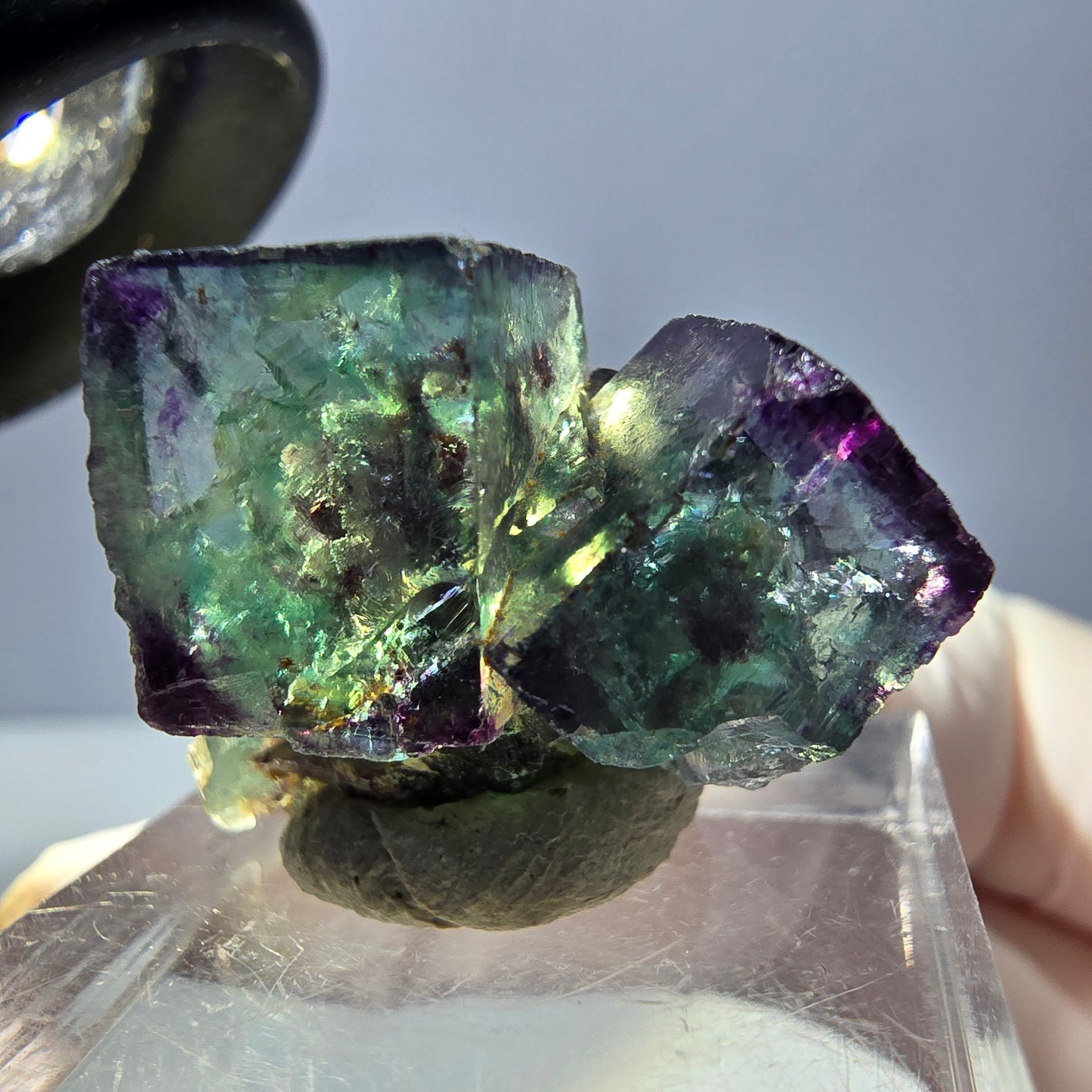 Spécimen rare de cube de fluorite fantôme, vert-violet, Okorusu, Namibie, 28 x 20 x 18 mm 