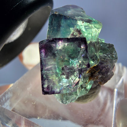 Spécimen rare de cube de fluorite fantôme, vert-violet, Okorusu, Namibie, 28 x 20 x 18 mm 