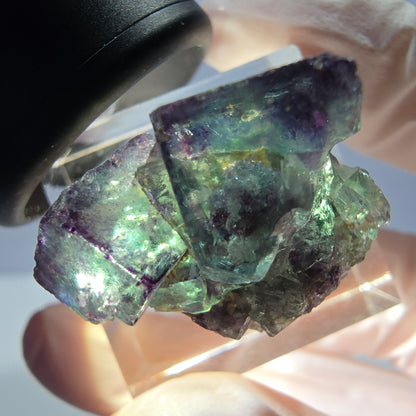 Spécimen rare de cube de fluorite fantôme, vert-violet, Okorusu, Namibie, 28 x 20 x 18 mm 