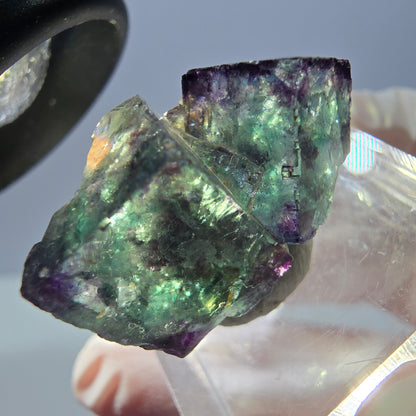Spécimen rare de cube de fluorite fantôme, vert-violet, Okorusu, Namibie, 28 x 20 x 18 mm 
