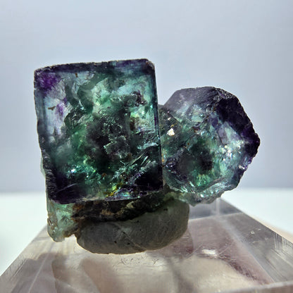 Spécimen rare de cube de fluorite fantôme, vert-violet, Okorusu, Namibie, 28 x 20 x 18 mm 