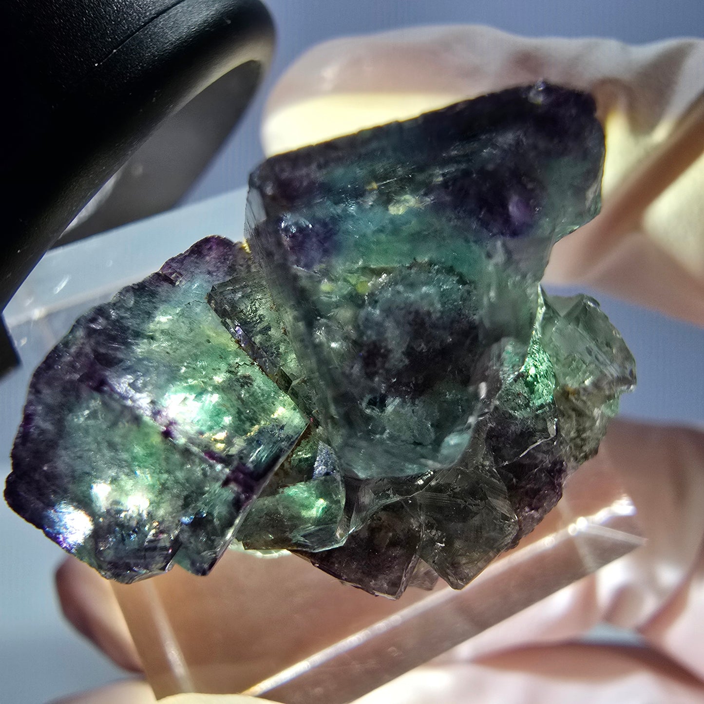 Spécimen rare de cube de fluorite fantôme, vert-violet, Okorusu, Namibie, 28 x 20 x 18 mm 