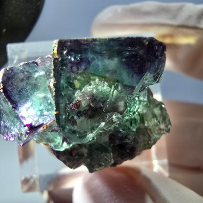 Spécimen rare de cube de fluorite fantôme, vert-violet, Okorusu, Namibie, 28 x 20 x 18 mm 