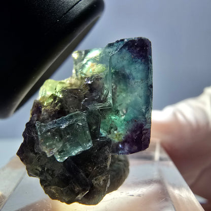Spécimen rare de cube de fluorite fantôme, vert-violet, Okorusu, Namibie, 28 x 20 x 18 mm 
