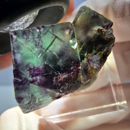Rare spécimen de cube de fluorite fantôme, vert-violet, Okorusu, Namibie, 26 x 17 x 16 mm 