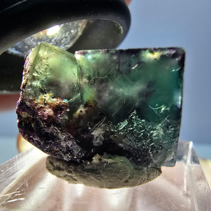 Rare spécimen de cube de fluorite fantôme, vert-violet, Okorusu, Namibie, 26 x 17 x 16 mm 