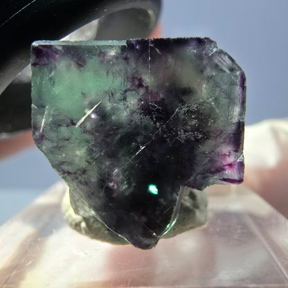Rare spécimen de cube de fluorite fantôme, vert-violet, Okorusu, Namibie, 26 x 17 x 16 mm 