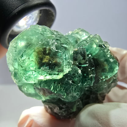 Spécimen de cube de fluorite fantôme, vert parqueté Okorusu, Namibie 42*37*33mm 