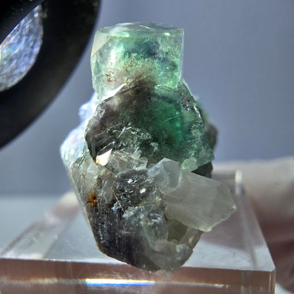 Seltene Phantom Fluorit Würfel, Quarz Stufe, grün Okorusu, Namibia 41*20*20mm