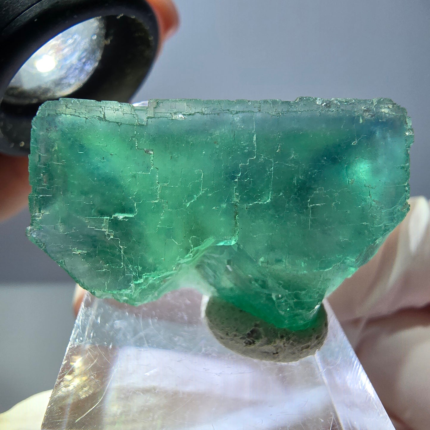 Spécimen de cube de fluorite fantôme, vert parqueté Okorusu, Namibie 34*24*17mm 