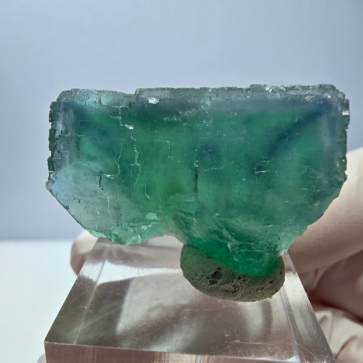 Spécimen de cube de fluorite fantôme, vert parqueté Okorusu, Namibie 34*24*17mm 
