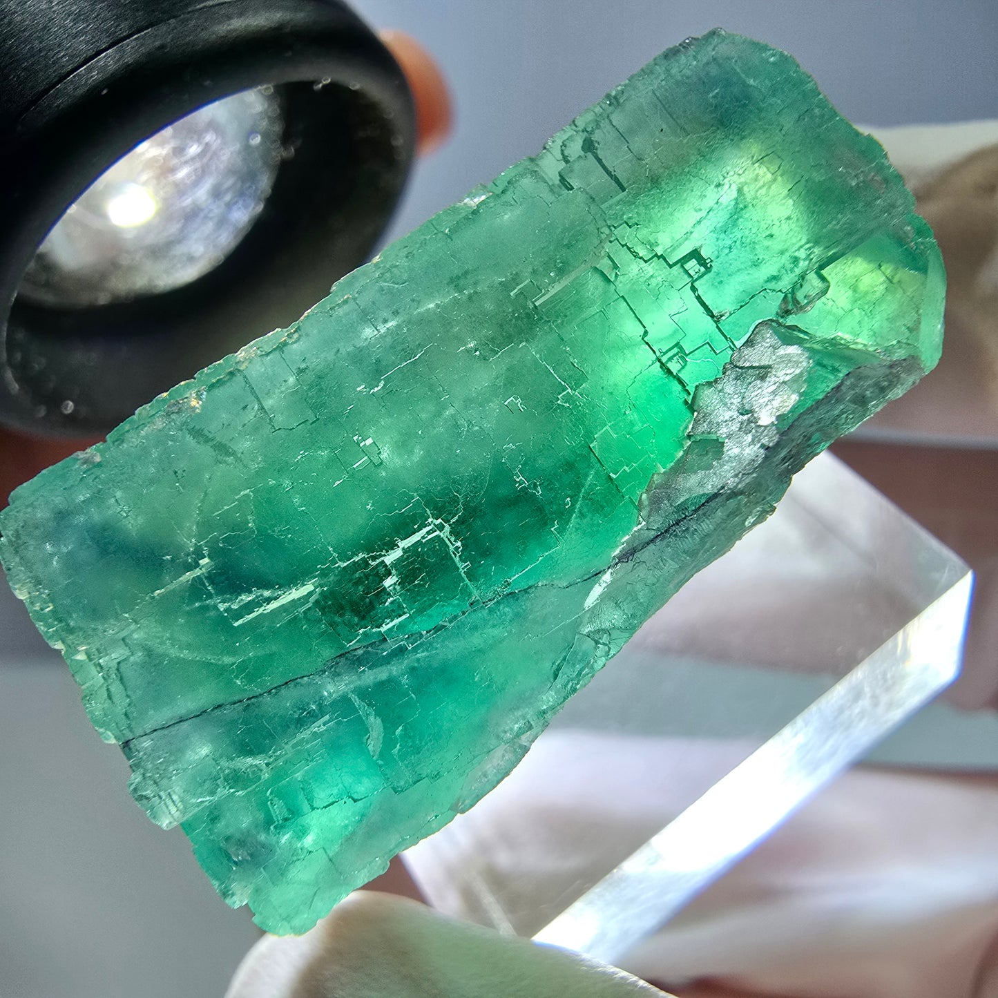 Spécimen de cube de fluorite fantôme, vert parqueté Okorusu, Namibie 34*24*17mm 