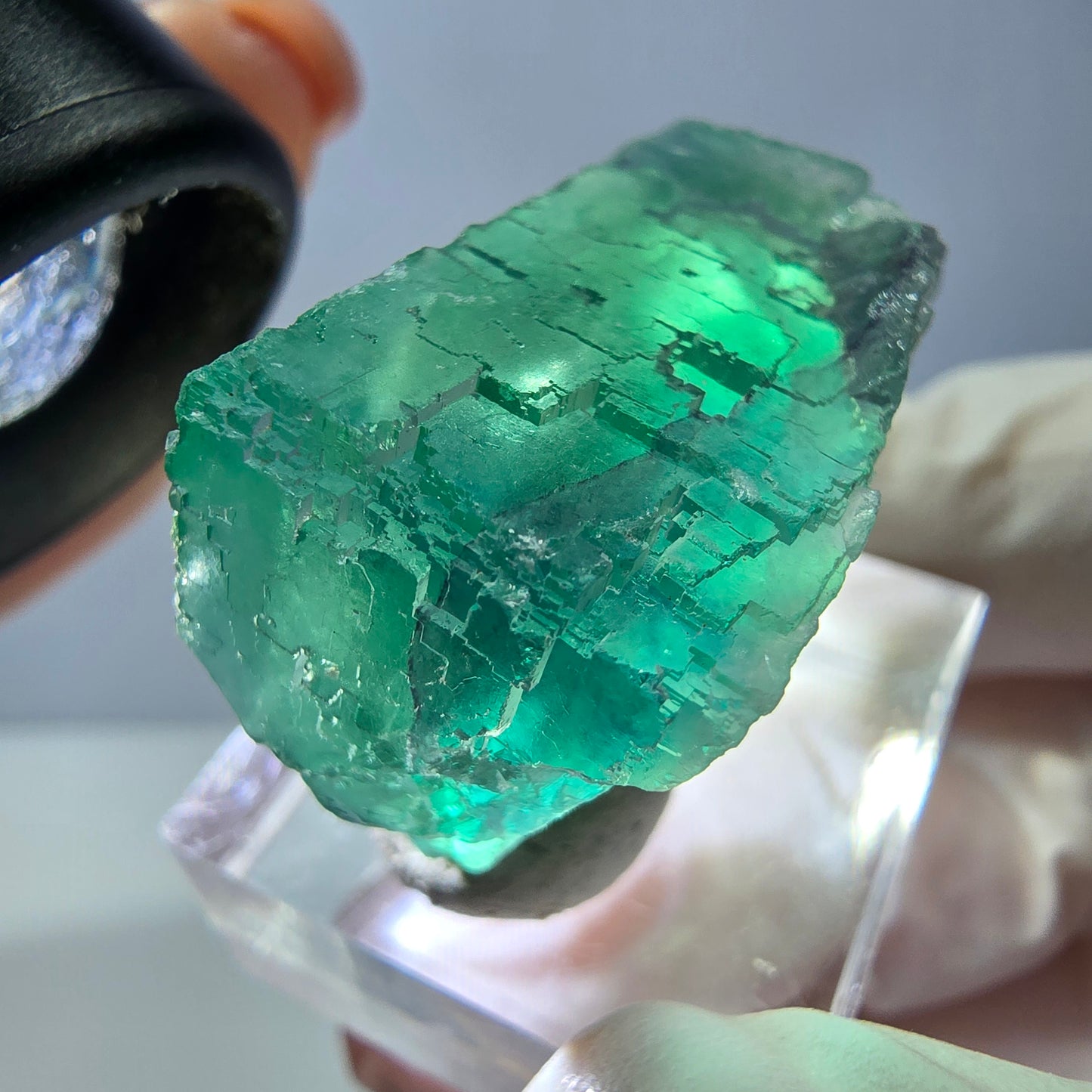 Spécimen de cube de fluorite fantôme, vert parqueté Okorusu, Namibie 34*24*17mm 