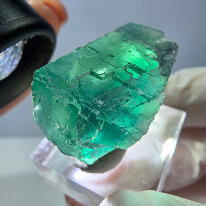 Spécimen de cube de fluorite fantôme, vert parqueté Okorusu, Namibie 34*24*17mm 