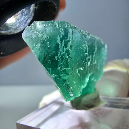 Spécimen de cube de fluorite fantôme, vert parqueté Okorusu, Namibie 34*24*17mm 