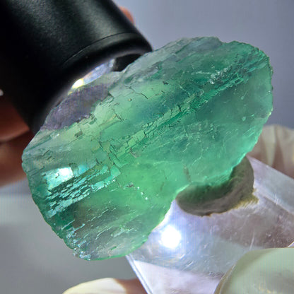 Spécimen de cube de fluorite fantôme, vert parqueté Okorusu, Namibie 34*24*17mm 