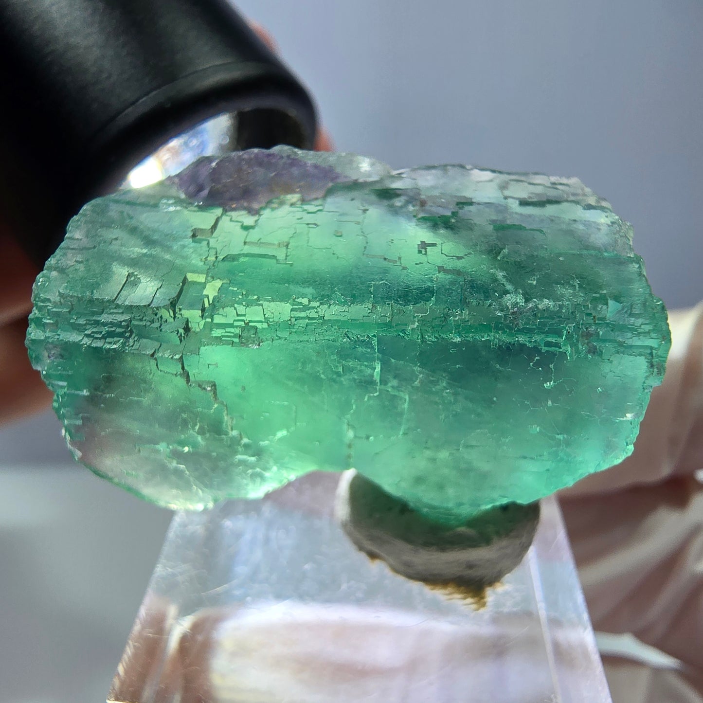 Spécimen de cube de fluorite fantôme, vert parqueté Okorusu, Namibie 34*24*17mm 
