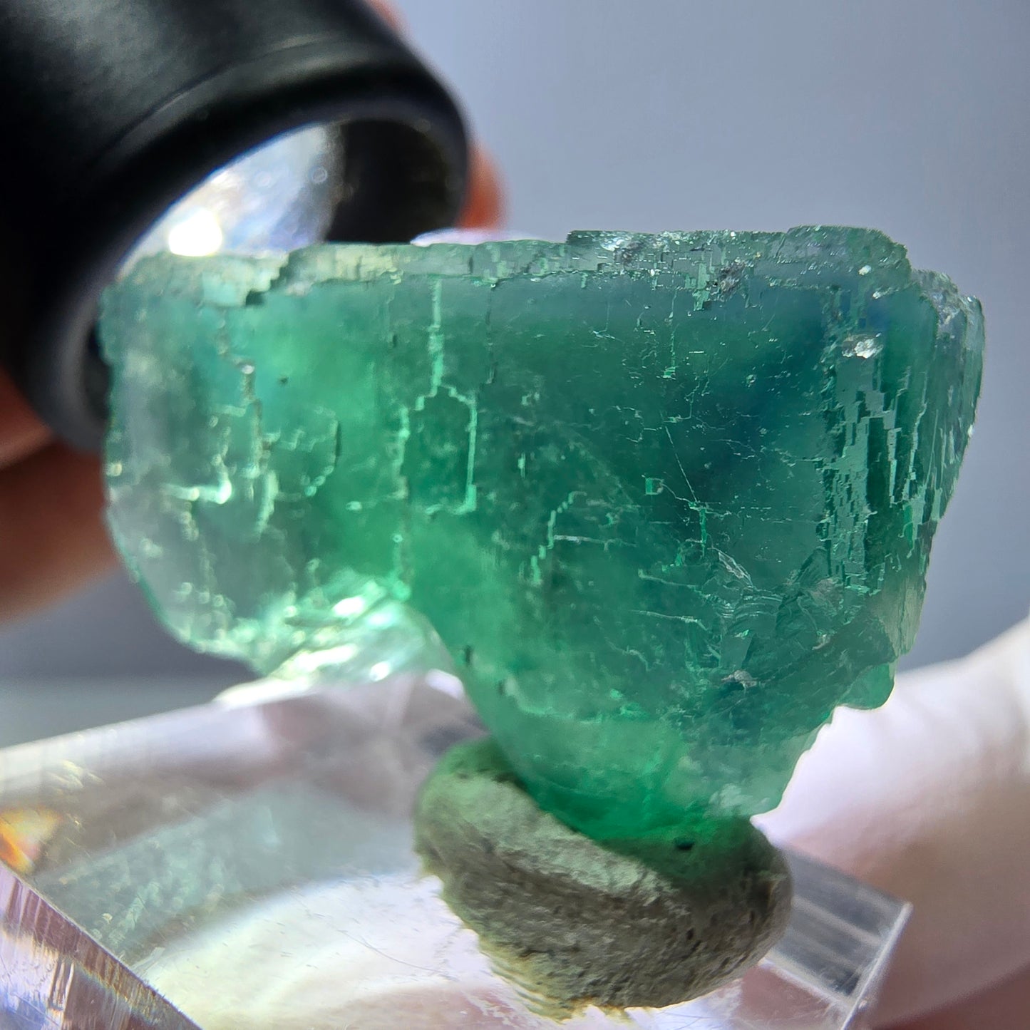 Spécimen de cube de fluorite fantôme, vert parqueté Okorusu, Namibie 34*24*17mm 