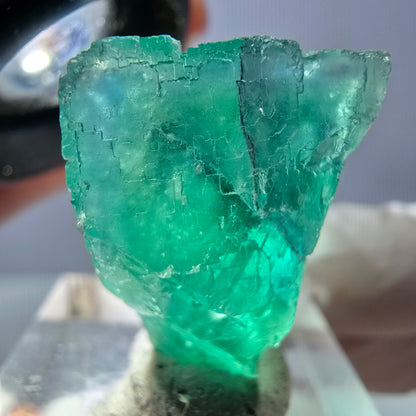 Spécimen de cube de fluorite fantôme, vert parqueté Okorusu, Namibie 34*24*17mm 