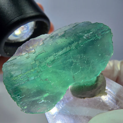 Spécimen de cube de fluorite fantôme, vert parqueté Okorusu, Namibie 34*24*17mm 