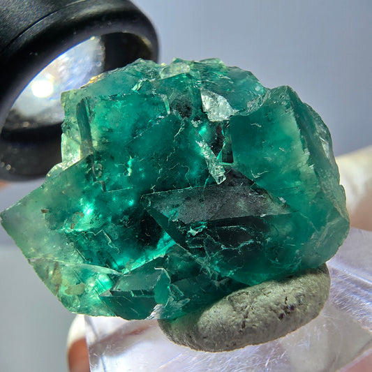 Spécimen de cube de fluorite fantôme, vert parqueté Okorusu, Namibie 28*24*17mm 