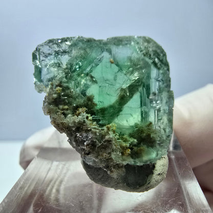 Spécimen de cube de fluorite fantôme, vert parqueté Okorusu, Namibie 22*20*19mm 