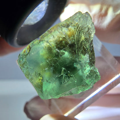 Spécimen de cube de fluorite fantôme, vert parqueté Okorusu, Namibie 22*20*19mm 