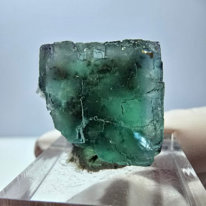 Spécimen de cube de fluorite fantôme, vert parqueté Okorusu, Namibie 25*20*19mm 
