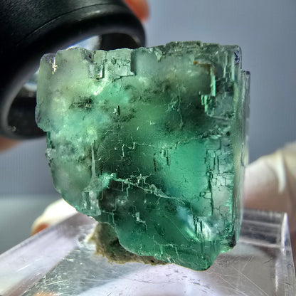 Spécimen de cube de fluorite fantôme, vert parqueté Okorusu, Namibie 25*20*19mm 