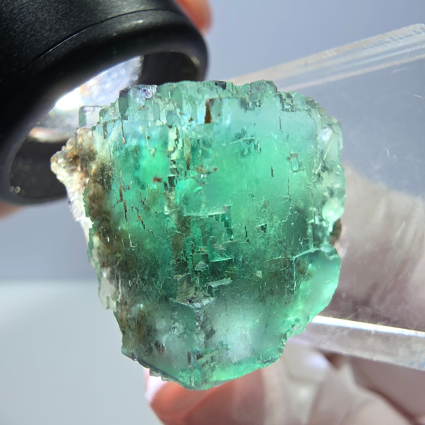 Spécimen de cube de fluorite fantôme, vert parqueté Okorusu, Namibie 25*20*19mm 