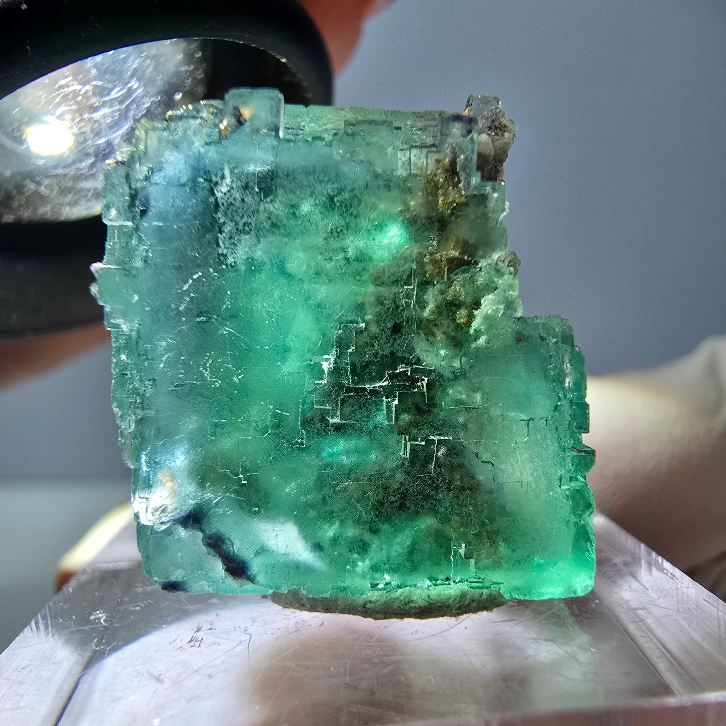 Spécimen de cube de fluorite fantôme, vert parqueté Okorusu, Namibie 25*20*19mm 