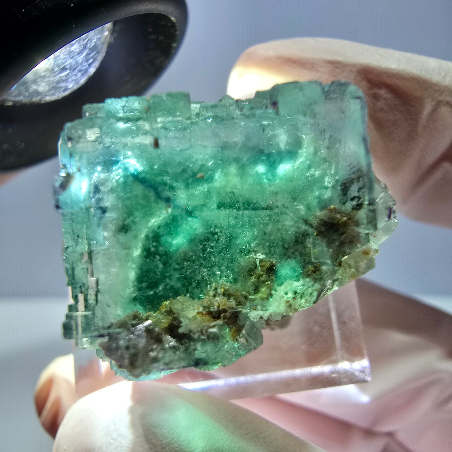 Spécimen de cube de fluorite fantôme, vert parqueté Okorusu, Namibie 25*20*19mm 