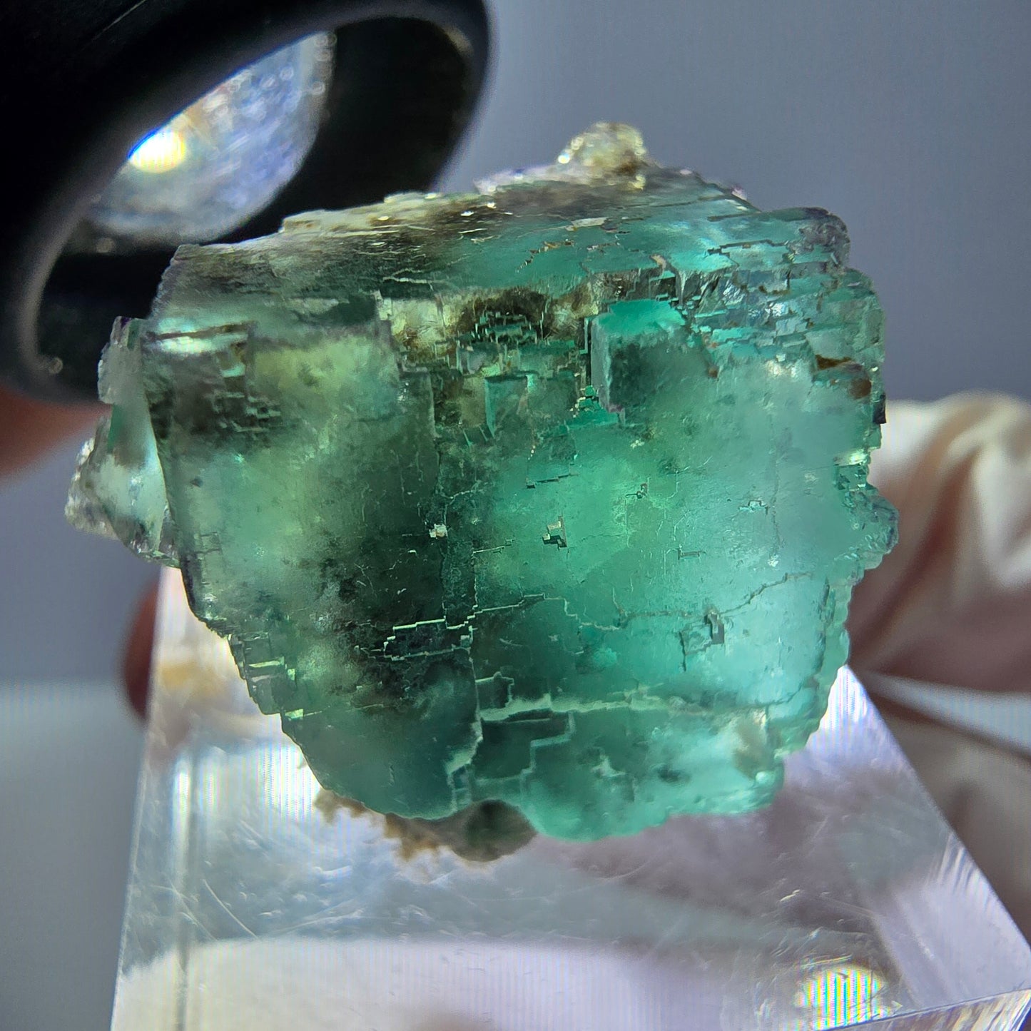Spécimen de cube de fluorite fantôme, vert parqueté Okorusu, Namibie 25*20*19mm 