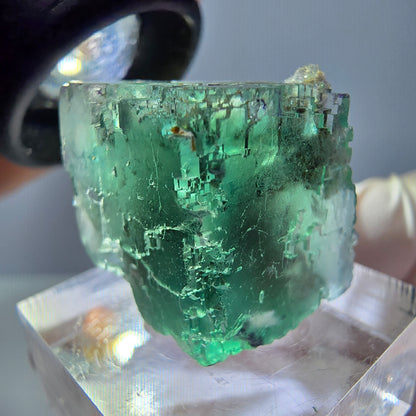 Spécimen de cube de fluorite fantôme, vert parqueté Okorusu, Namibie 25*20*19mm 