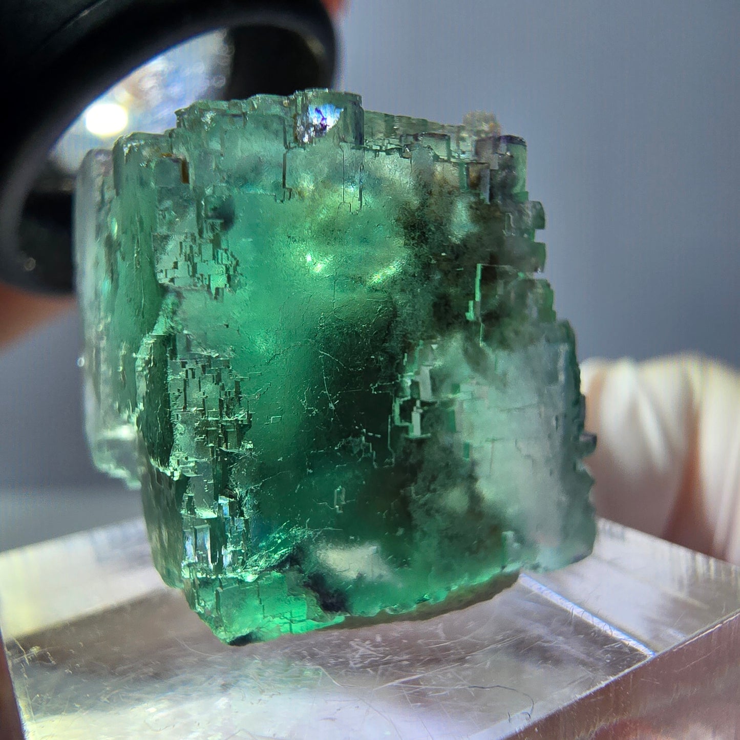 Spécimen de cube de fluorite fantôme, vert parqueté Okorusu, Namibie 25*20*19mm 