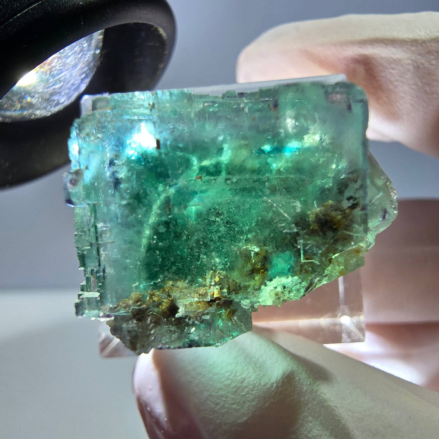 Spécimen de cube de fluorite fantôme, vert parqueté Okorusu, Namibie 25*20*19mm 