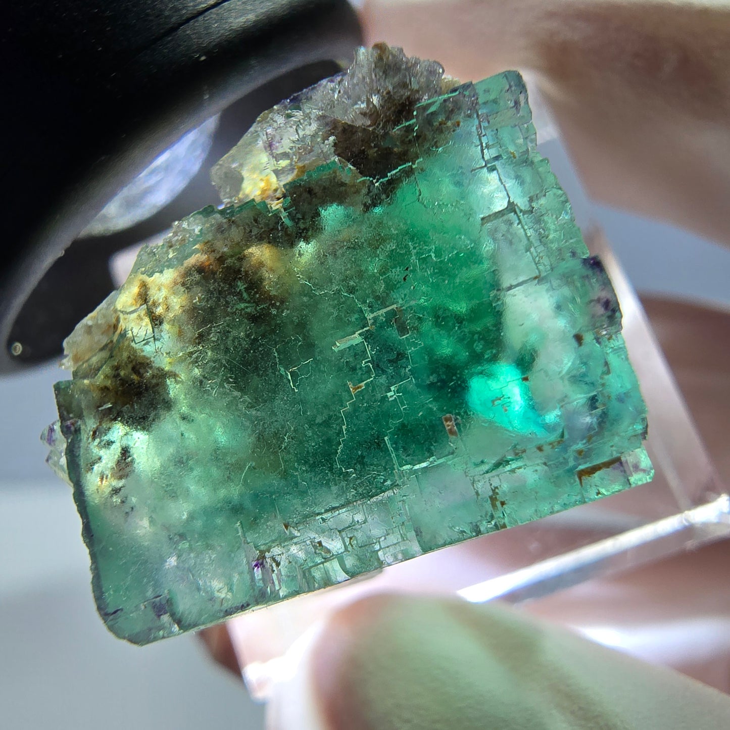Spécimen de cube de fluorite fantôme, vert parqueté Okorusu, Namibie 25*20*19mm 